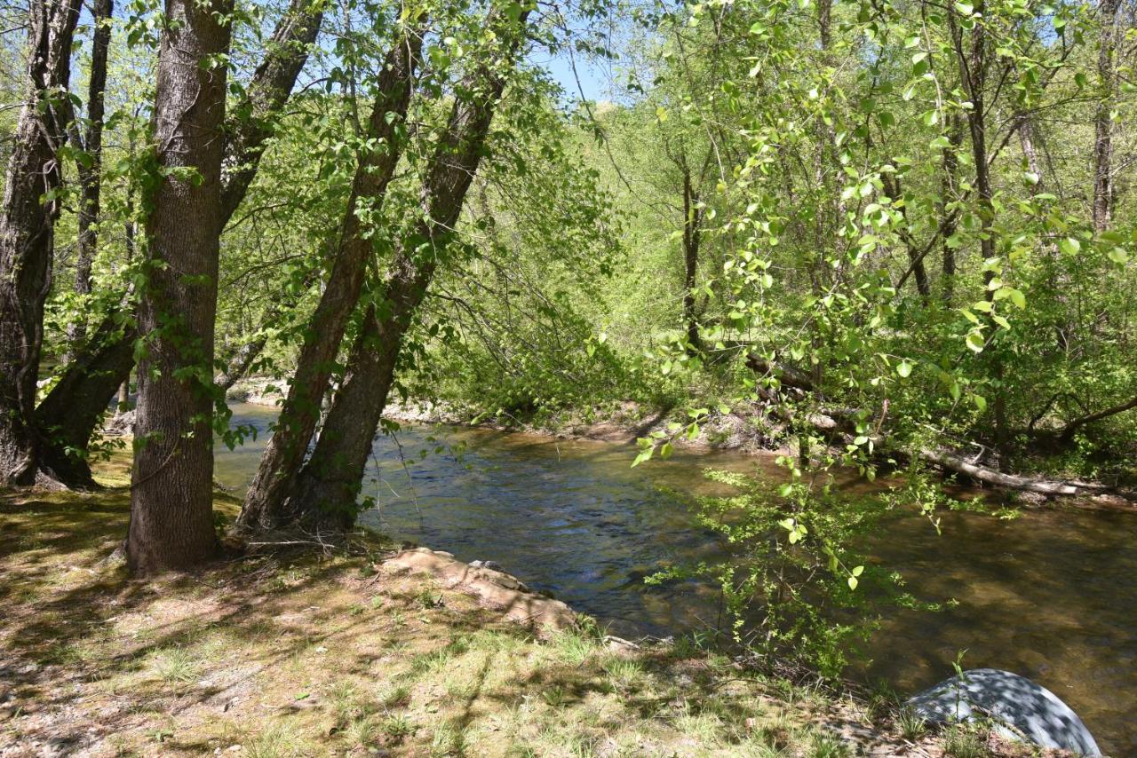 Riverside Trout Cottage هيلين المظهر الخارجي الصورة